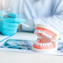 Denture dentist in Fitchburg with model of dentures and X-ray